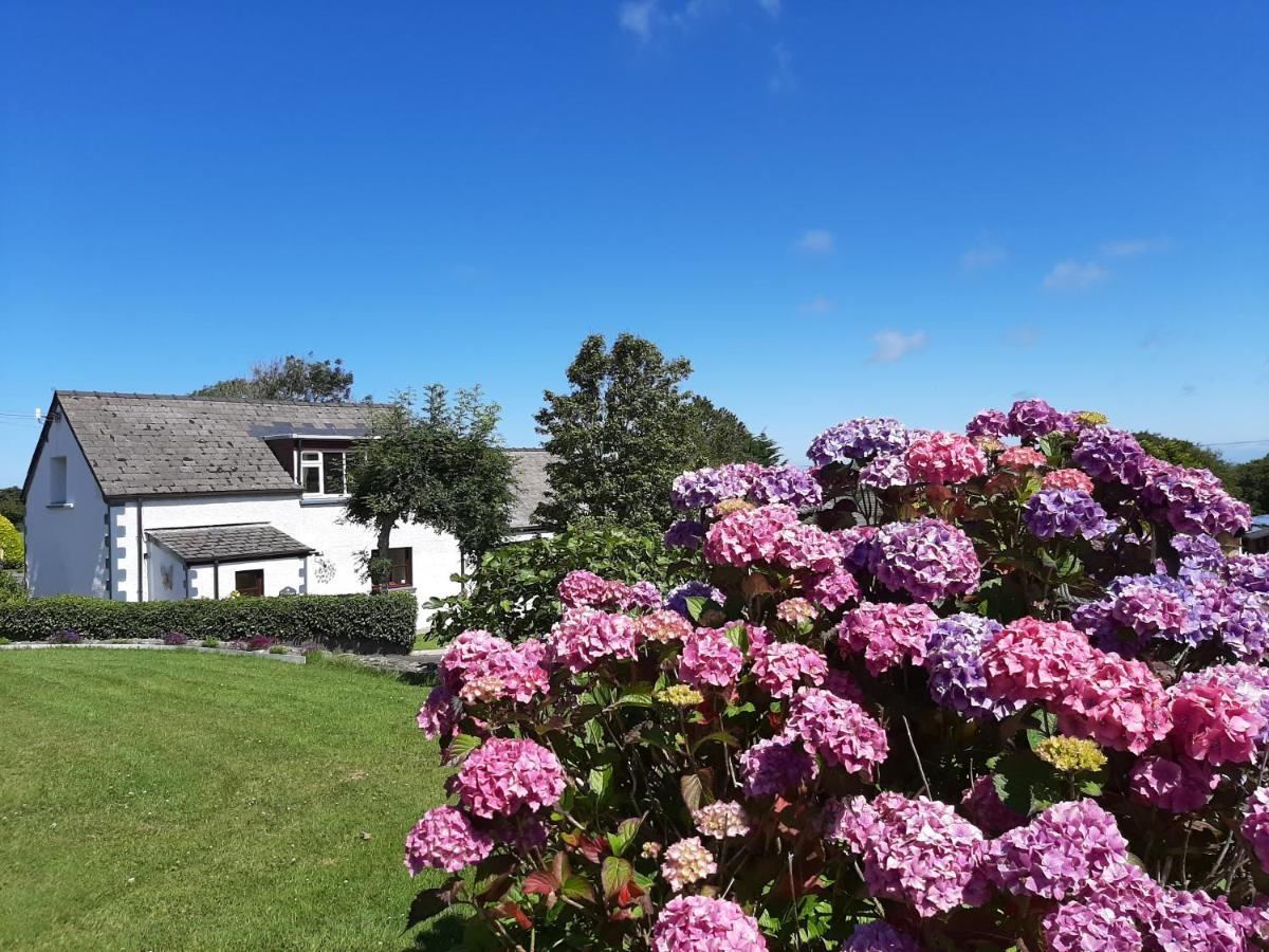 Trenewydd Farm Holiday Cottages Cardigan Luaran gambar