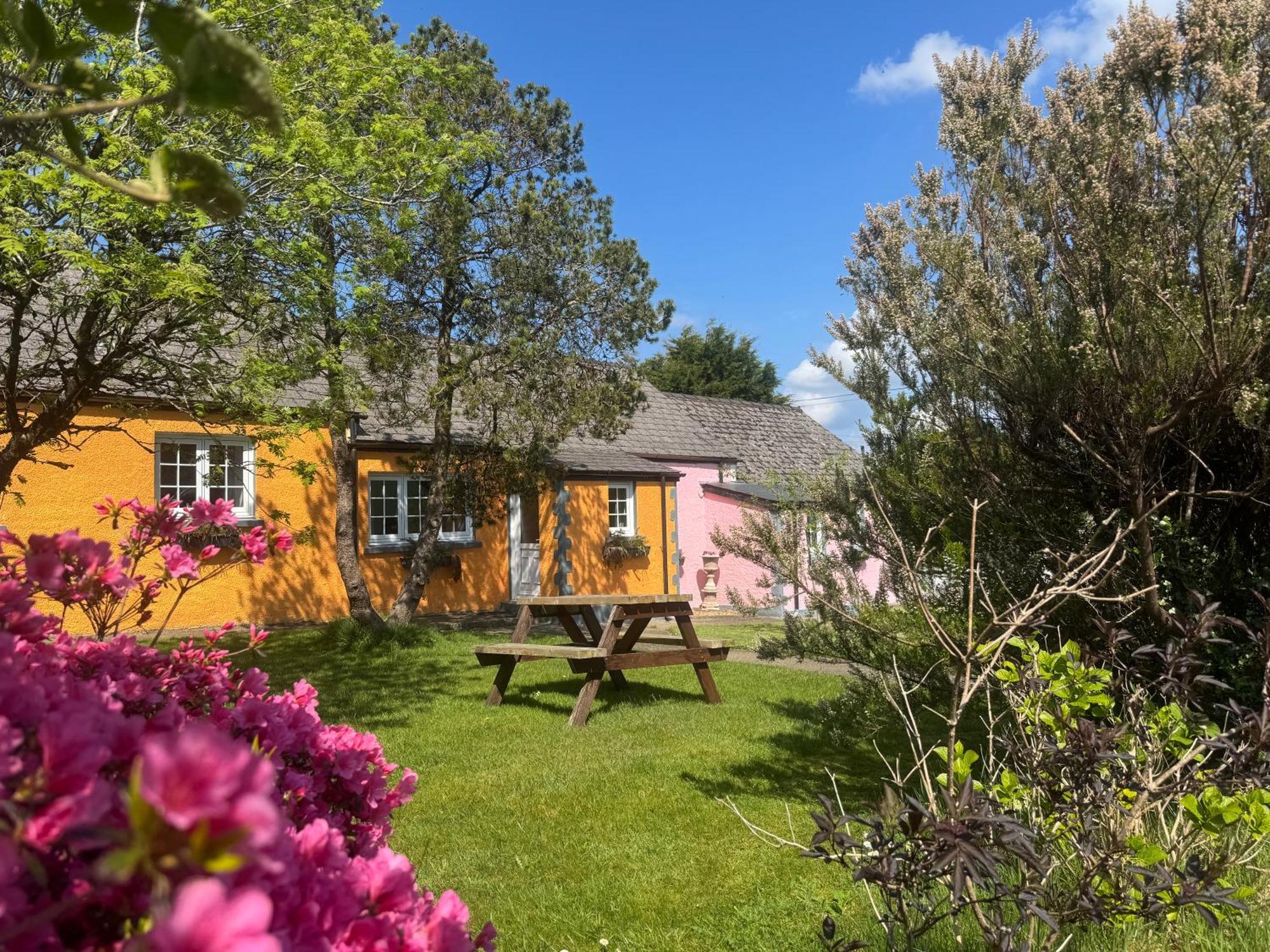 Trenewydd Farm Holiday Cottages Cardigan Luaran gambar
